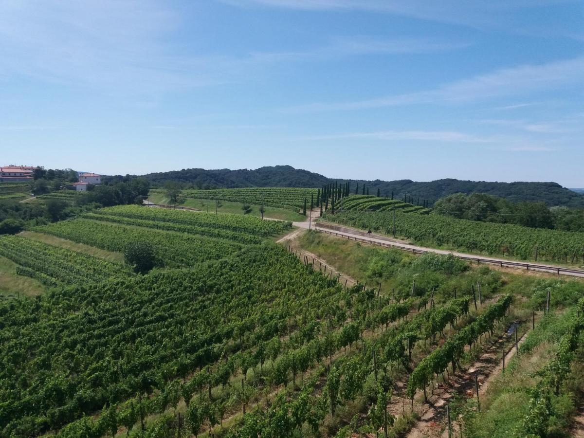 Ruttàrs Agriturismo Casa Delle Rose Winery מראה חיצוני תמונה