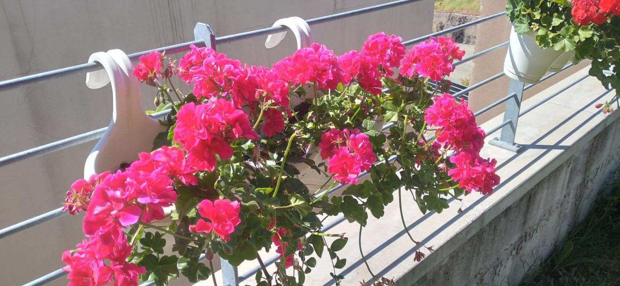 Ruttàrs Agriturismo Casa Delle Rose Winery מראה חיצוני תמונה