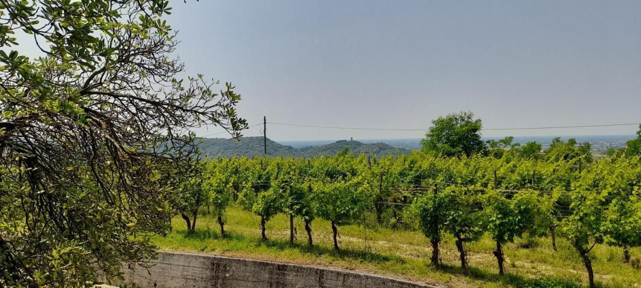 Ruttàrs Agriturismo Casa Delle Rose Winery מראה חיצוני תמונה