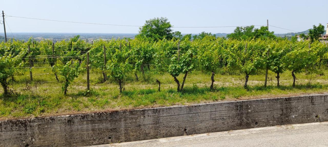 Ruttàrs Agriturismo Casa Delle Rose Winery מראה חיצוני תמונה