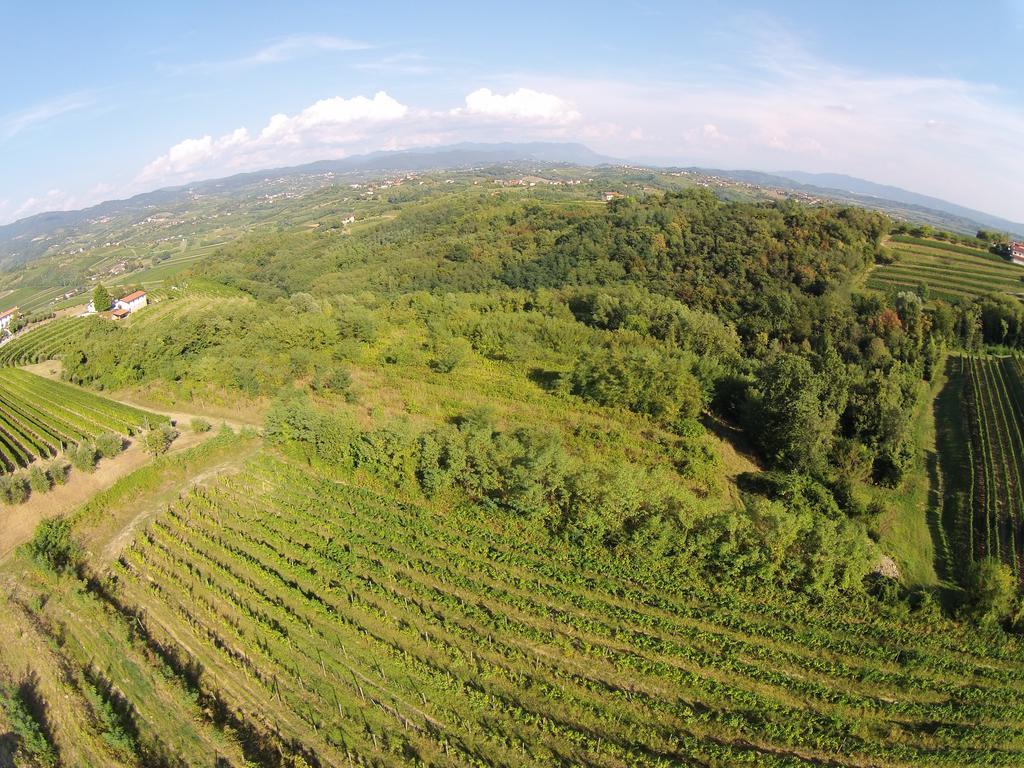 Ruttàrs Agriturismo Casa Delle Rose Winery מראה חיצוני תמונה