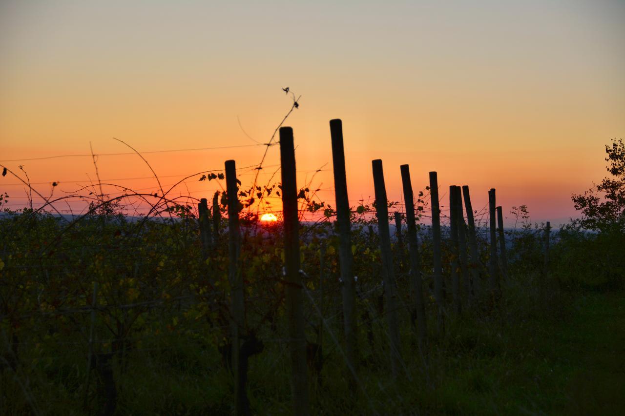 Ruttàrs Agriturismo Casa Delle Rose Winery מראה חיצוני תמונה