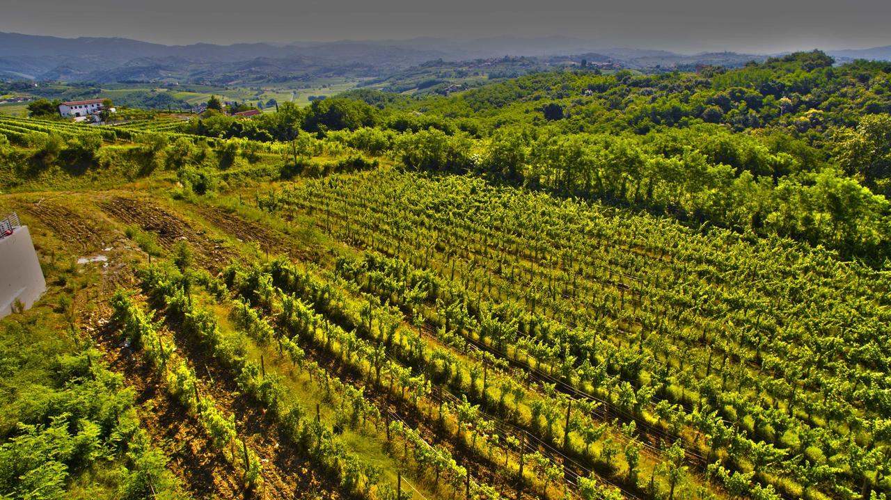 Ruttàrs Agriturismo Casa Delle Rose Winery מראה חיצוני תמונה