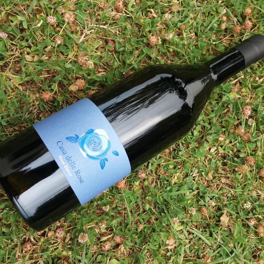 Ruttàrs Agriturismo Casa Delle Rose Winery מראה חיצוני תמונה